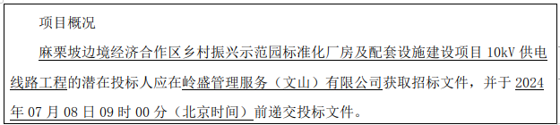 麻栗坡边境经济合作区乡村振兴示范园标准化厂房及配套设施建设项目10kV供电线路工程招标公告