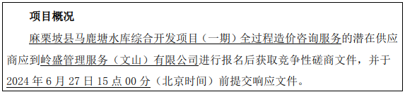 麻栗坡县马鹿塘水库综合开发项目（一期）全过程造价咨询服务竞争性磋商公告