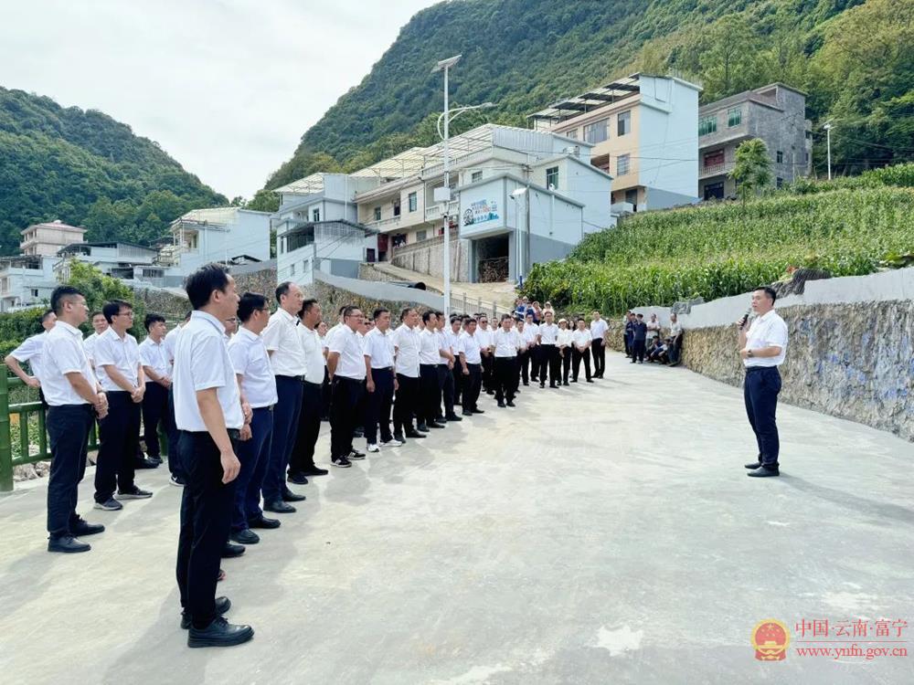 富宁县举行学习运用“千万工程”经验推进乡村