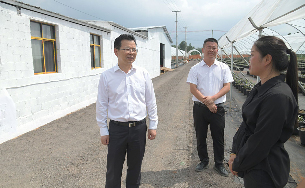 陈明在调研平远片区“三区”