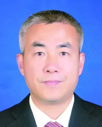 湖北武汉人大常委会副主任陈