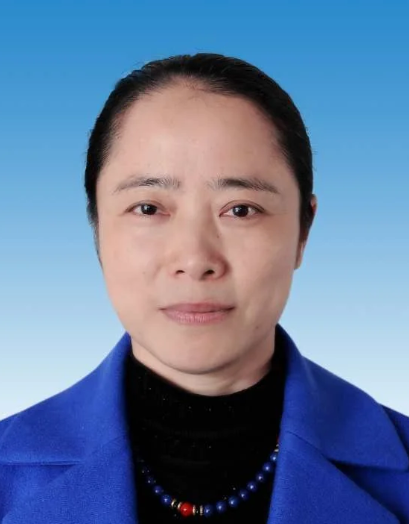 湖南邵阳市人民政府副市长仇珂静被纪委调查