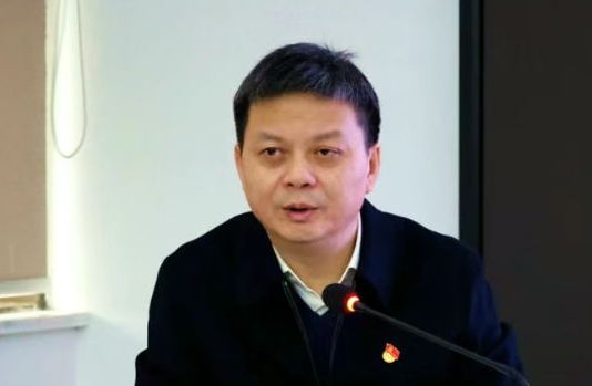 重庆建工集团总经理党智勇被纪委调查