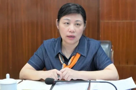 广西壮族自治区玉林市中级人民法院院长胡海兰被带走调查